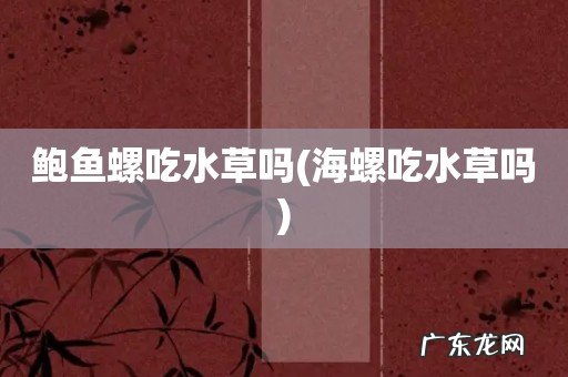 海螺吃水草吗 鲍鱼螺吃水草吗