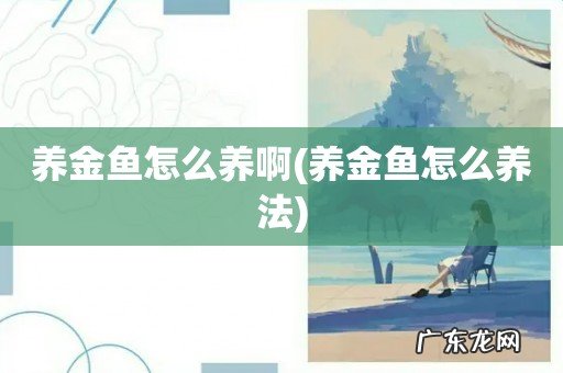 养金鱼怎么养法 养金鱼怎么养啊