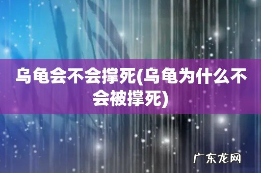 乌龟为什么不会被撑死 乌龟会不会撑死