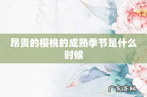 昂贵的樱桃的成熟季节是什么时候