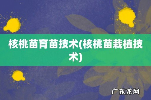 核桃苗栽植技术 核桃苗育苗技术