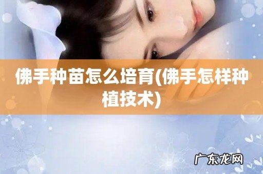 佛手怎样种植技术 佛手种苗怎么培育