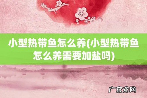 小型热带鱼怎么养需要加盐吗 小型热带鱼怎么养