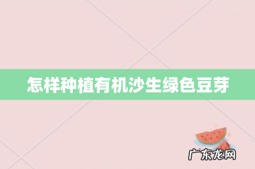 怎样种植有机沙生绿色豆芽