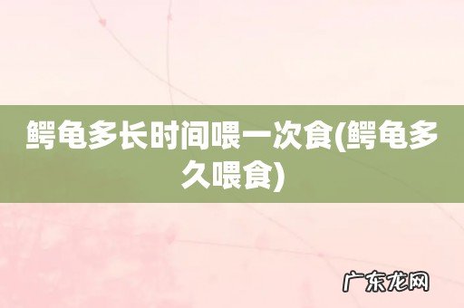 鳄龟多久喂食 鳄龟多长时间喂一次食