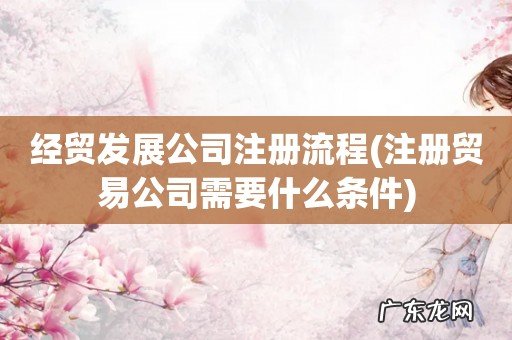 注册贸易公司需要什么条件 经贸发展公司注册流程