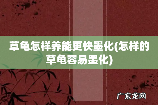 怎样的草龟容易墨化 草龟怎样养能更快墨化