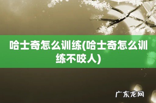 哈士奇怎么训练不咬人 哈士奇怎么训练