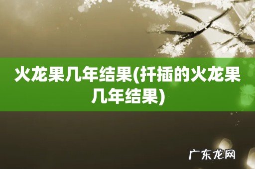 扦插的火龙果几年结果 火龙果几年结果