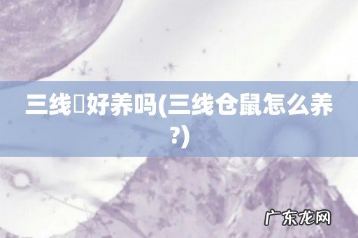 三线仓鼠怎么养? 三线鲃好养吗