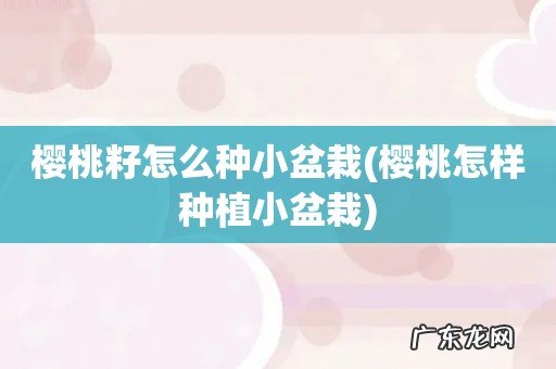 樱桃怎样种植小盆栽 樱桃籽怎么种小盆栽