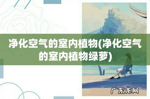 净化空气的室内植物绿萝 净化空气的室内植物