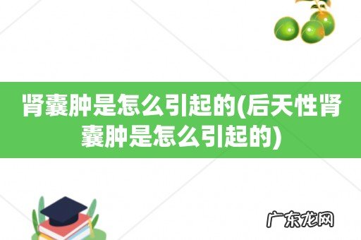 后天性肾囊肿是怎么引起的 肾囊肿是怎么引起的