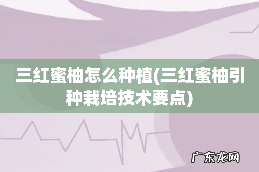 三红蜜柚引种栽培技术要点 三红蜜柚怎么种植