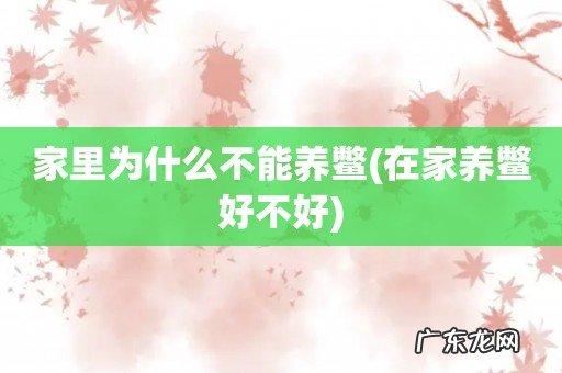 在家养鳖好不好 家里为什么不能养鳖