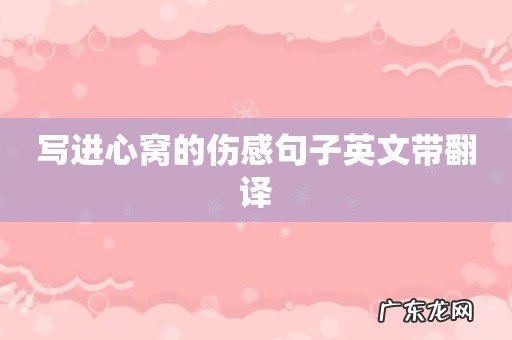 写进心窝的伤感句子英文带翻译