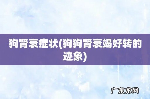 狗狗肾衰竭好转的迹象 狗肾衰症状