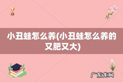 小丑蛙怎么养的 又肥又大 小丑蛙怎么养