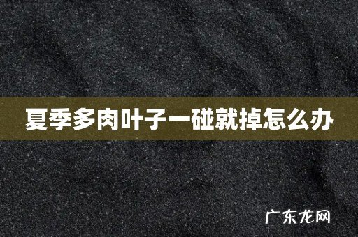 夏季多肉叶子一碰就掉怎么办