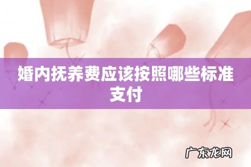 婚内抚养费应该按照哪些标准支付