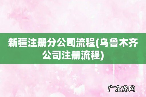 乌鲁木齐公司注册流程 新疆注册分公司流程