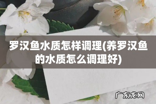 养罗汉鱼的水质怎么调理好 罗汉鱼水质怎样调理