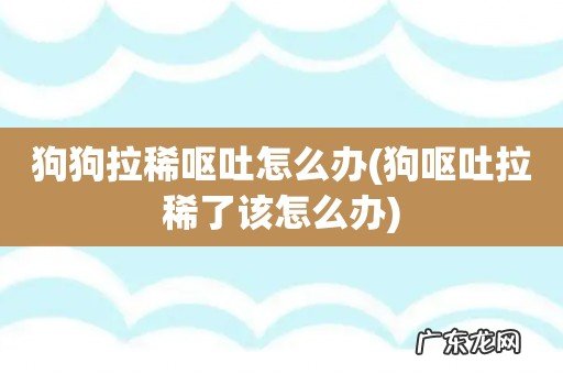 狗呕吐拉稀了该怎么办 狗狗拉稀呕吐怎么办