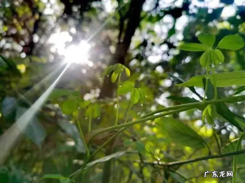 最有效的风水化煞法 变煞为财的风水