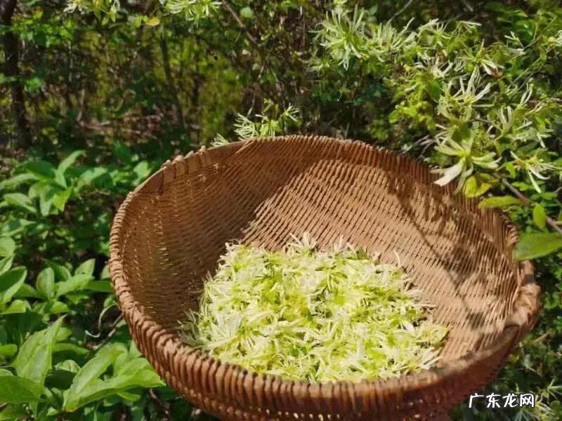 最有效的风水化煞法 变煞为财的风水
