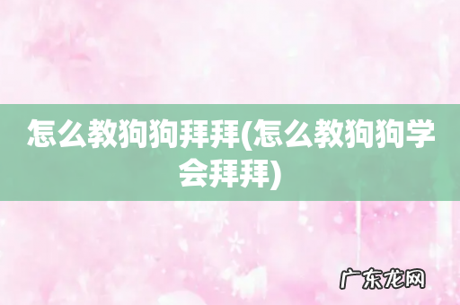 怎么教狗狗学会拜拜 怎么教狗狗拜拜