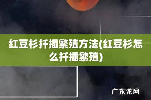 红豆杉怎么扦插繁殖 红豆杉扦插繁殖方法