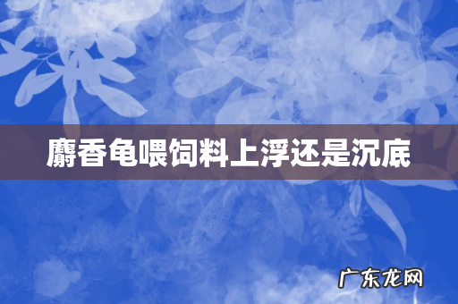 麝香龟喂饲料上浮还是沉底