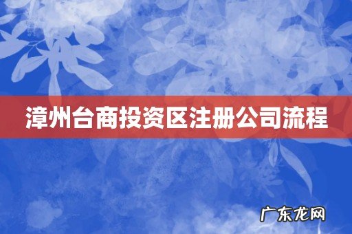 漳州台商投资区注册公司流程