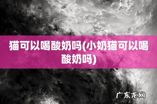 小奶猫可以喝酸奶吗 猫可以喝酸奶吗