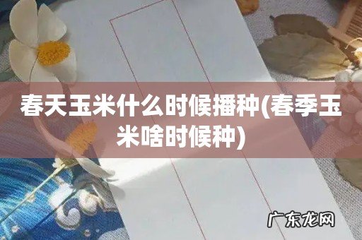 春季玉米啥时候种 春天玉米什么时候播种