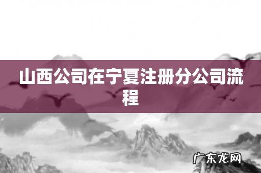 山西公司在宁夏注册分公司流程