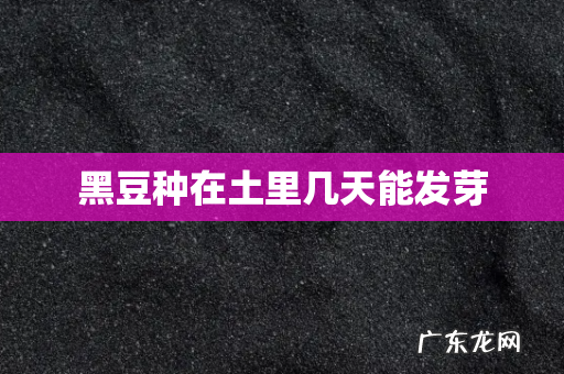 黑豆种在土里几天能发芽
