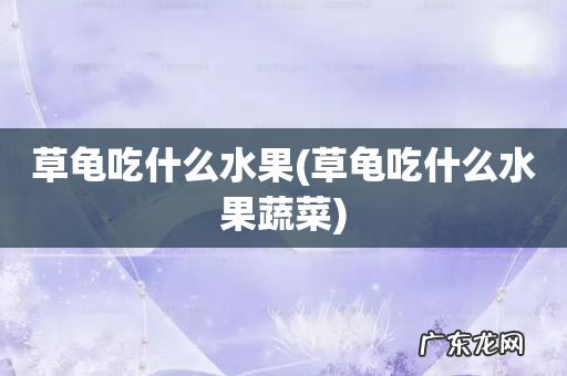 草龟吃什么水果蔬菜 草龟吃什么水果