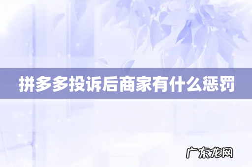 拼多多投诉后商家有什么惩罚