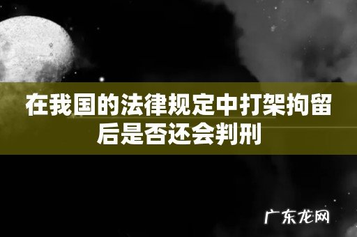 在我国的法律规定中打架拘留后是否还会判刑