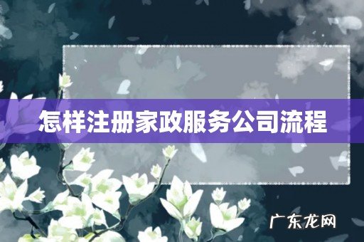 怎样注册家政服务公司流程