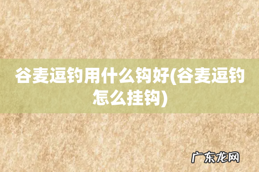 谷麦逗钓怎么挂钩 谷麦逗钓用什么钩好