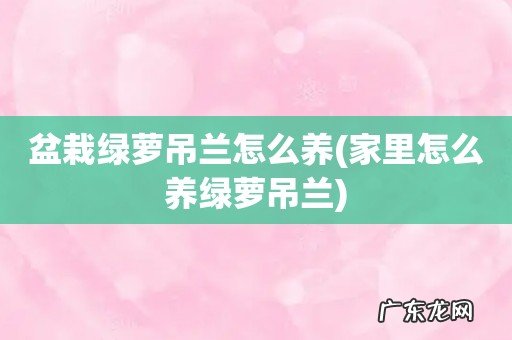 家里怎么养绿萝吊兰 盆栽绿萝吊兰怎么养
