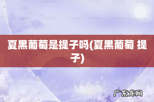 夏黑葡萄 提子 夏黑葡萄是提子吗