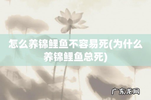 为什么养锦鲤鱼总死 怎么养锦鲤鱼不容易死