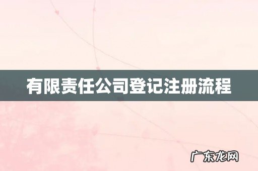 有限责任公司登记注册流程