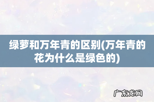 万年青的花为什么是绿色的 绿萝和万年青的区别