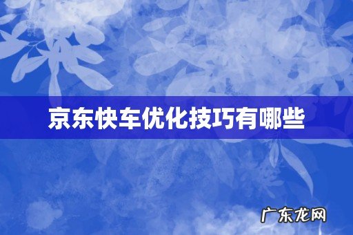 京东快车优化技巧有哪些