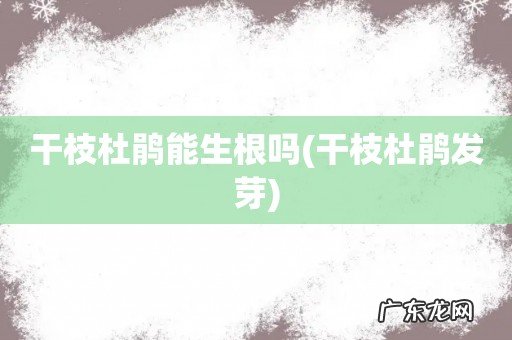 干枝杜鹃发芽 干枝杜鹃能生根吗