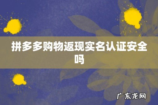 拼多多购物返现实名认证安全吗